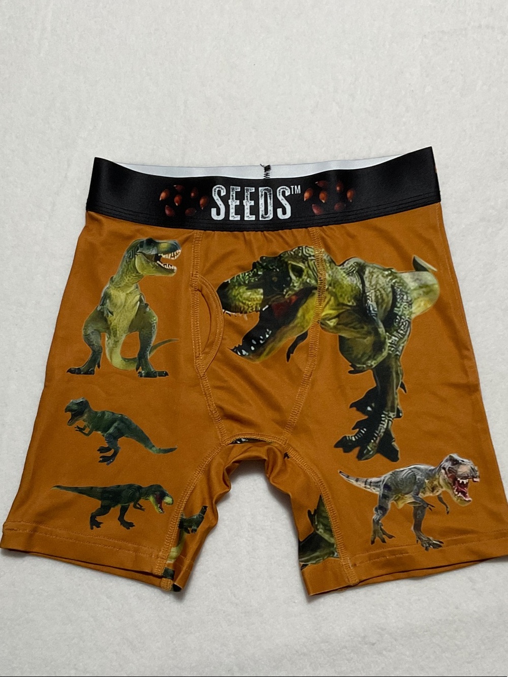 SEEDS™ Boys' Brown Dinosaur Boxer Briefs